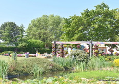 Op weg naar Royal van Zanten, waar Graff, Lazzeri, Morel Diffusion en Marathon Plants hun variëteiten presenteerden, binnen en buiten.